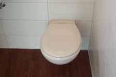 Fliesen_Badezimmer_Toilette_02